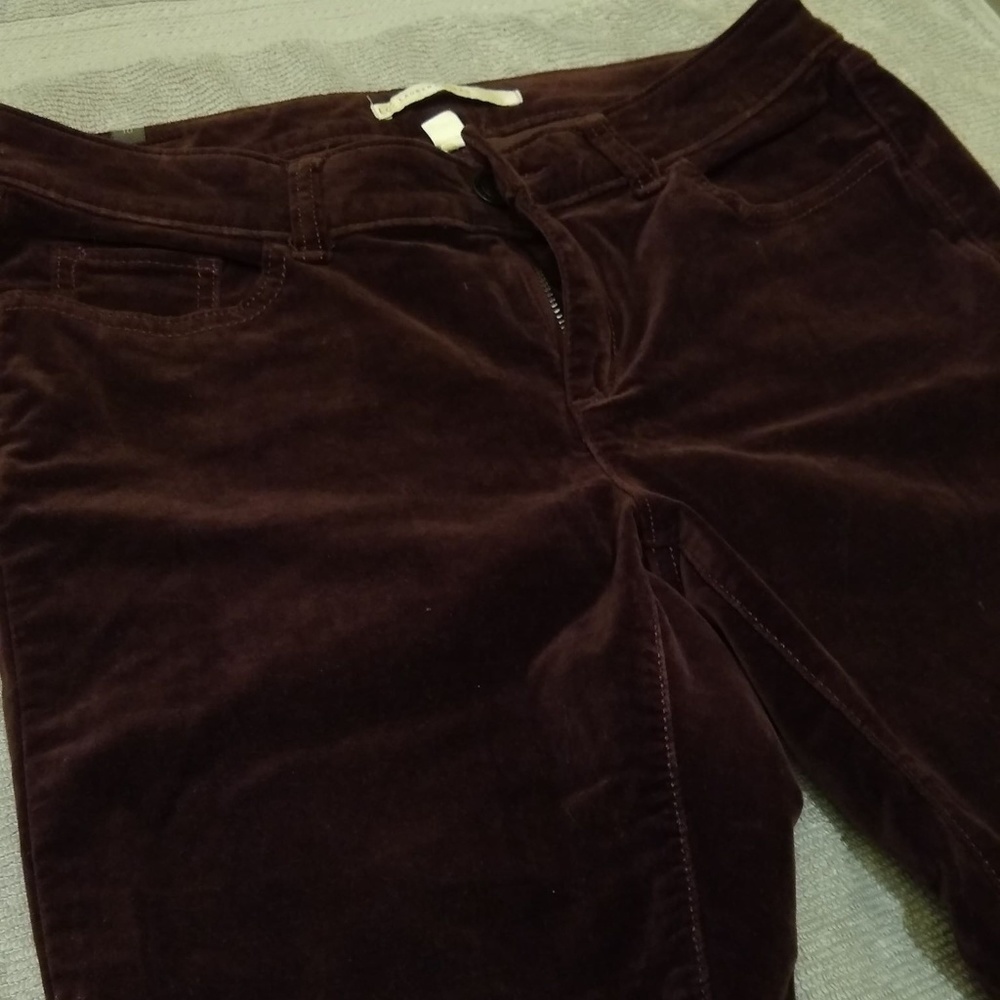 LC Lauren Conrad skinny velvet pants